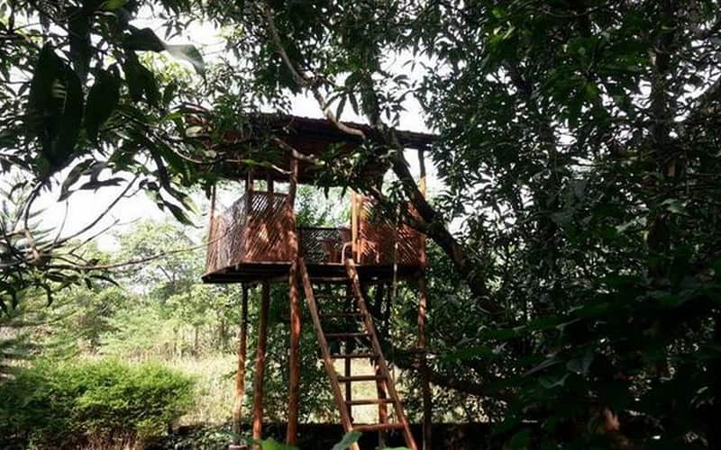 O Nest Homestay, Ratnagiri 3